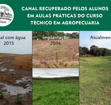 Escola Aberta: aulas pr&aacute;ticas que promovem a aprendizagem significativa