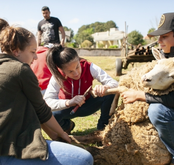 Col&eacute;gio Imperatriz est&aacute; com matr&iacute;culas abertas para nova turma do Curso T&eacute;cnico em Agropecu&aacute;ria