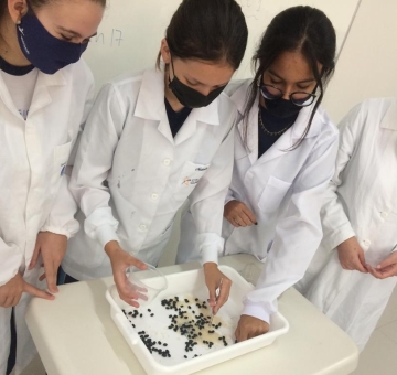 O Novo Ensino M&eacute;dio traz protagonismo do aluno